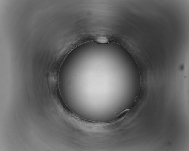 X0000112360040200908201513