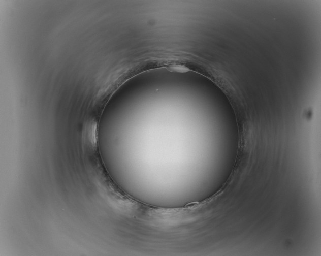 X0000112360041200908201513