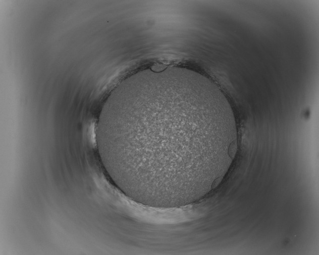 X0000112360042200908201513