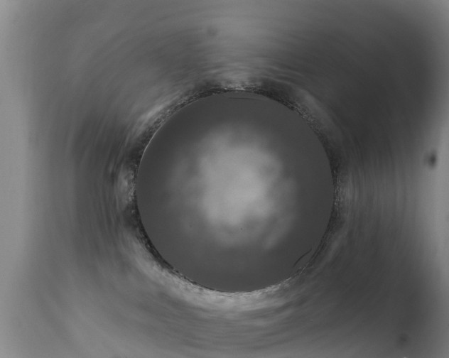 X0000112360043200908201513