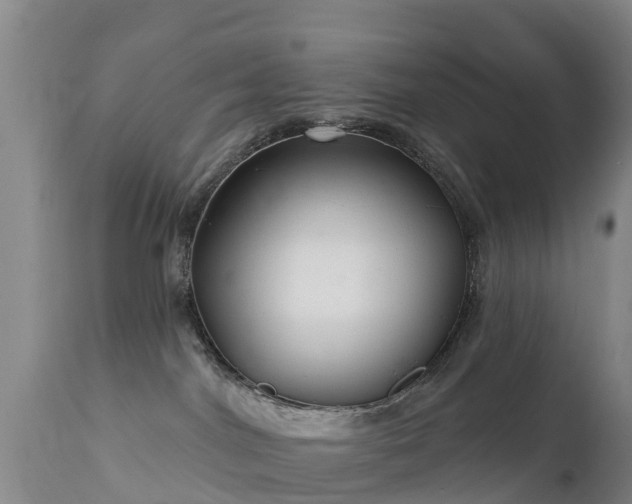 X0000112360044200908201513