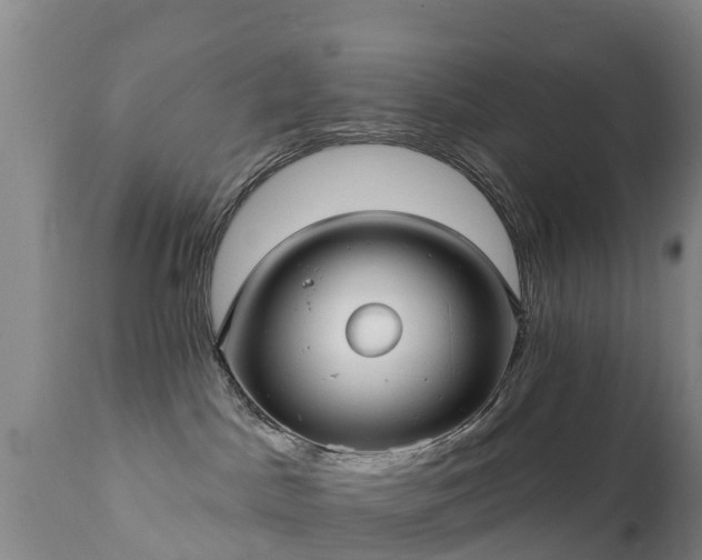 X0000112360045200908201513