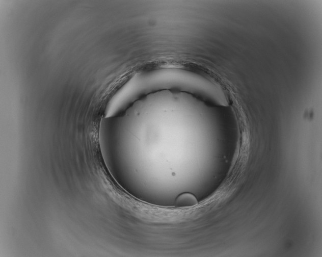 X0000112360048200908201513