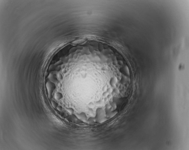 X0000112360049200908201512