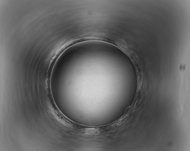 X0000112360050200908201512