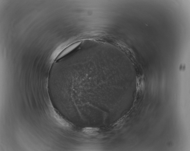 X0000112360051200908201512