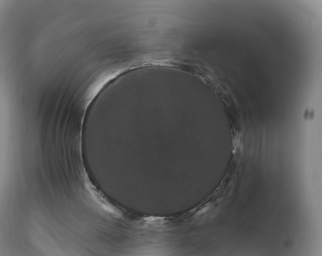 X0000112360052200908201512