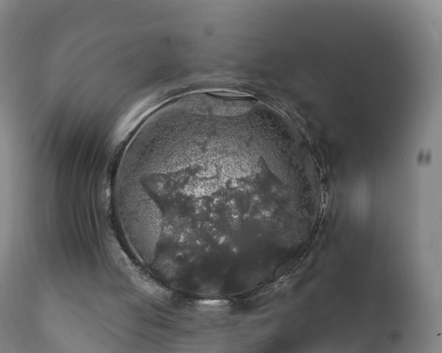 X0000112360053200908201512