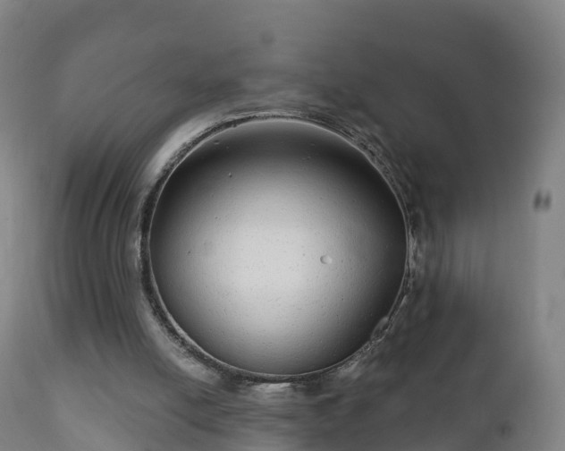 X0000112360054200908201512