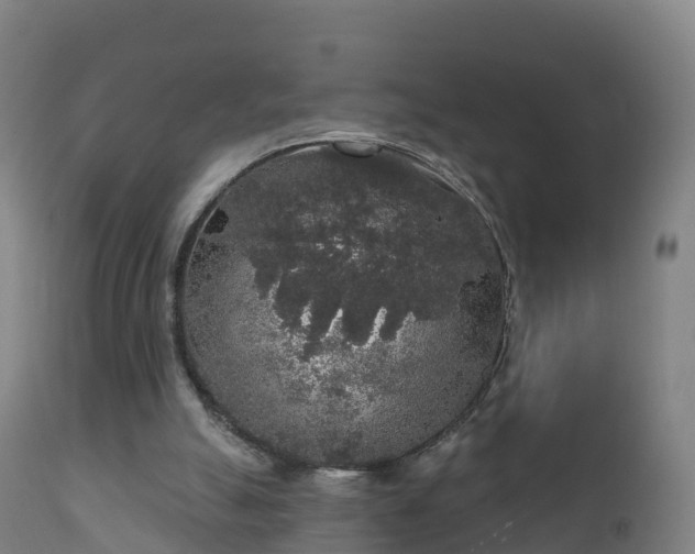 X0000112360055200908201512