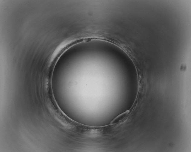 X0000112360056200908201512