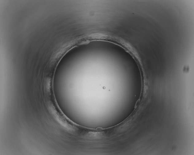 X0000112360057200908201512