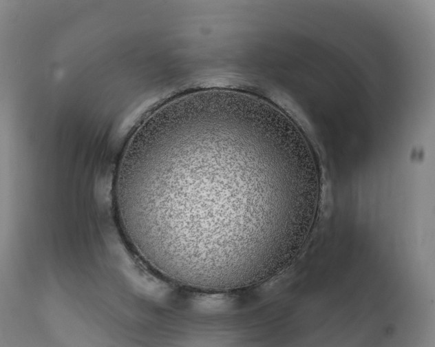 X0000112360058200908201512