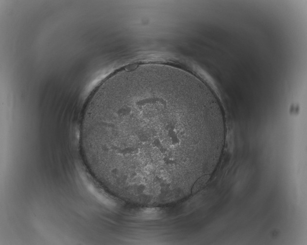 X0000112360059200908201512