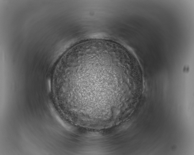 X0000112360061200908201512