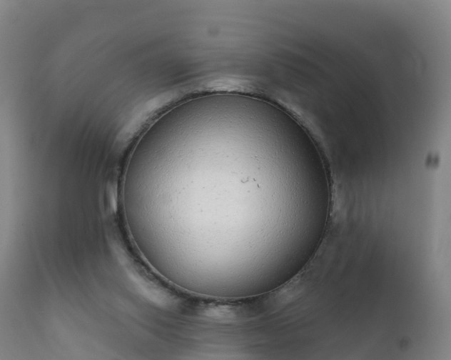 X0000112360062200908201512