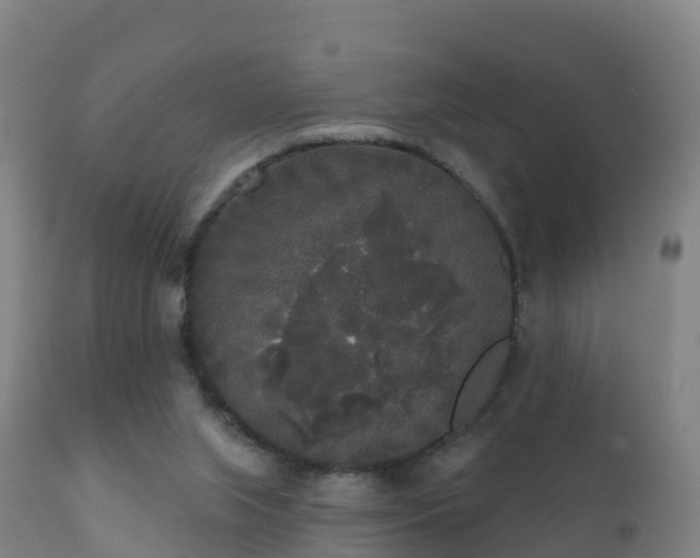 X0000112360063200908201512