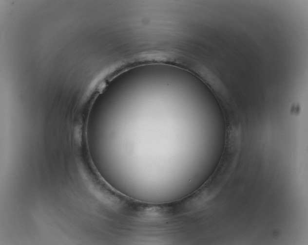 X0000112360064200908201512