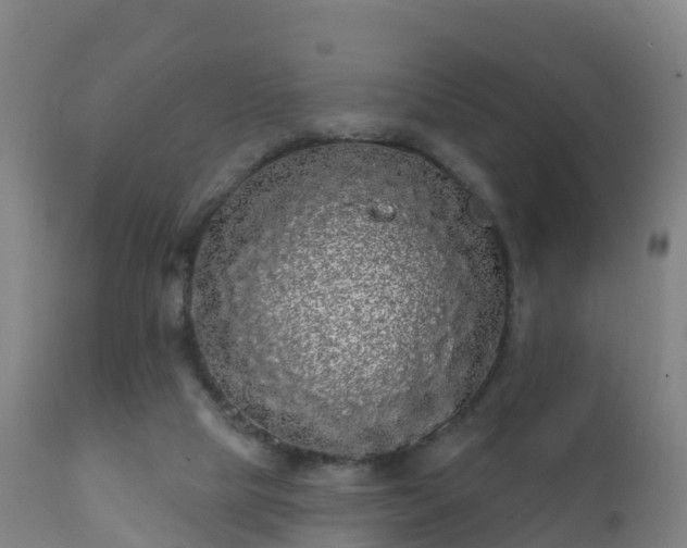 X0000112360065200908201512