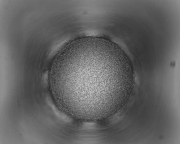 X0000112360066200908201512