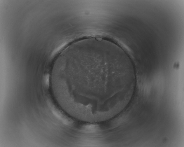 X0000112360067200908201512