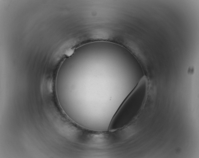 X0000112360068200908201513