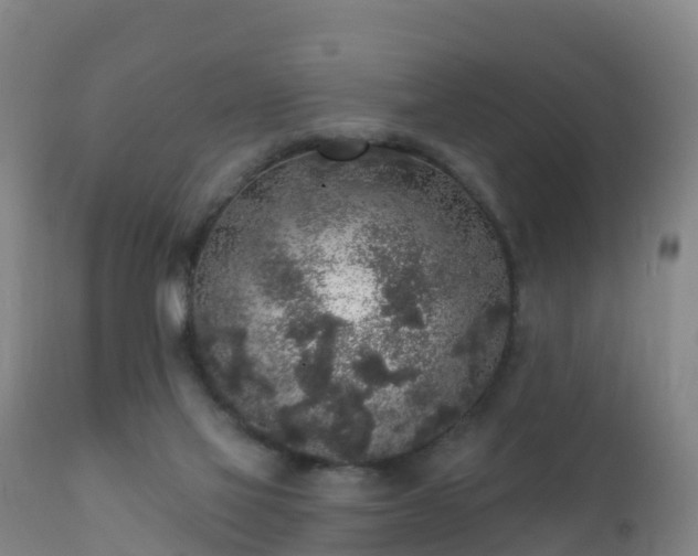 X0000112360069200908201513