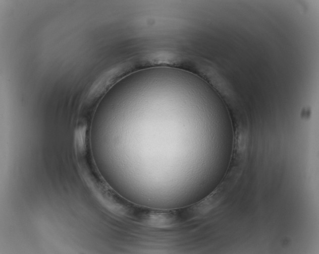 X0000112360070200908201513