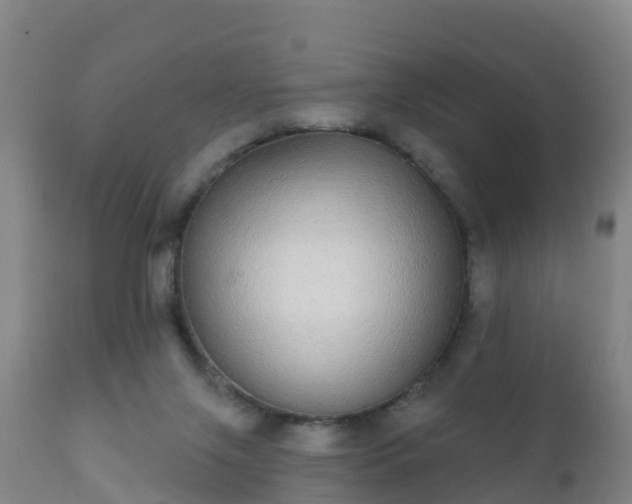 X0000112360071200908201513