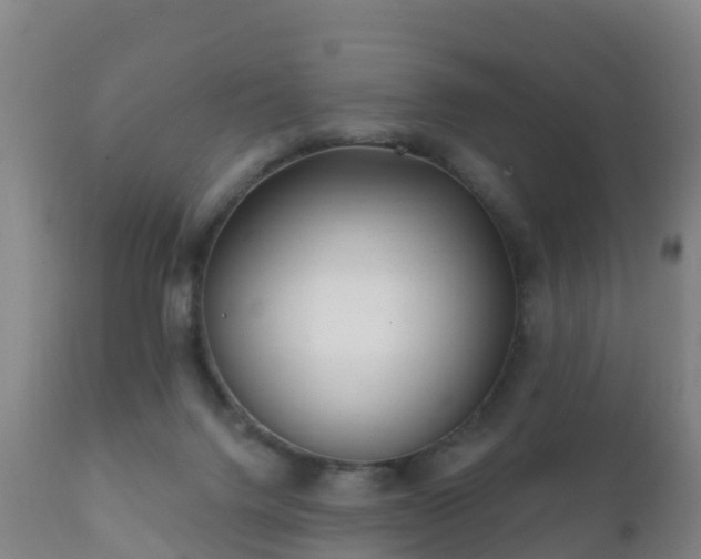 X0000112360072200908201513