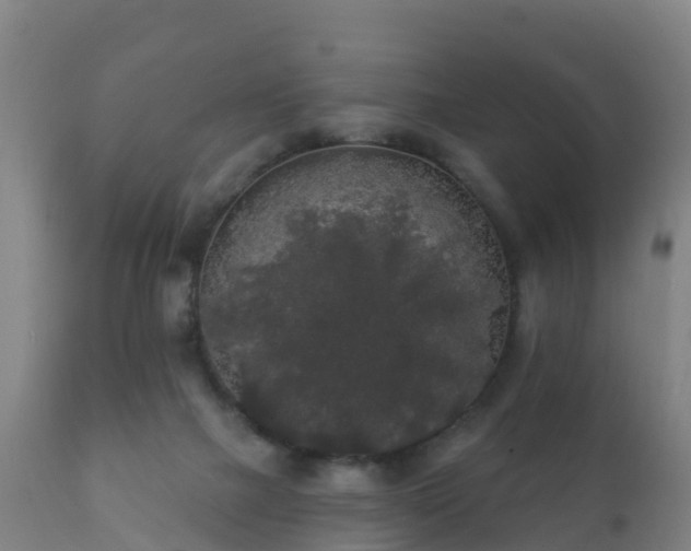 X0000112360073200908201513