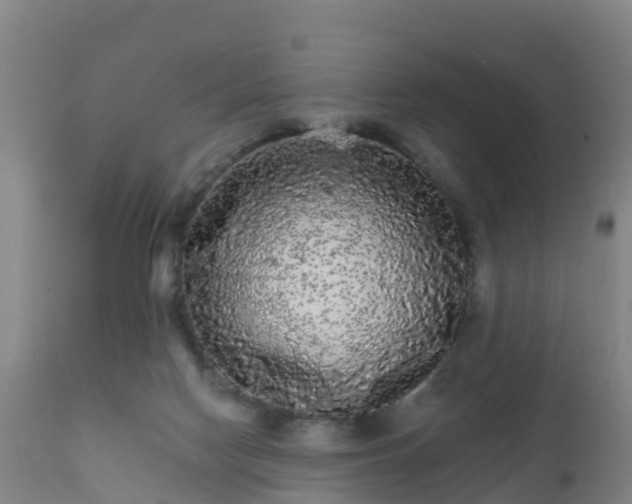 X0000112360074200908201513