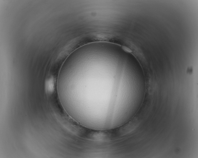 X0000112360075200908201513