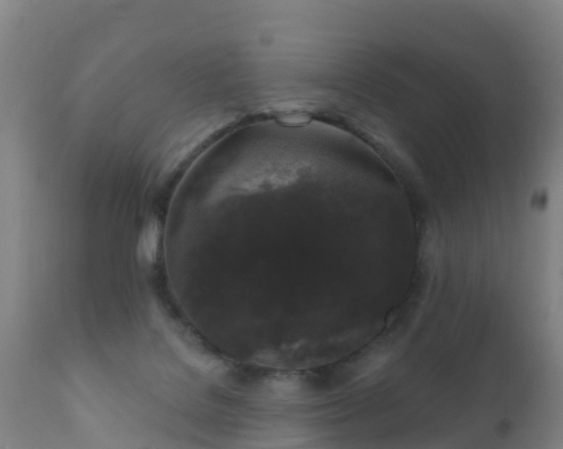 X0000112360076200908201513