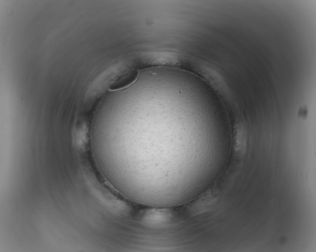 X0000112360077200908201513