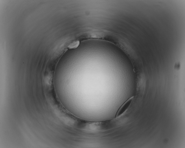 X0000112360078200908201513