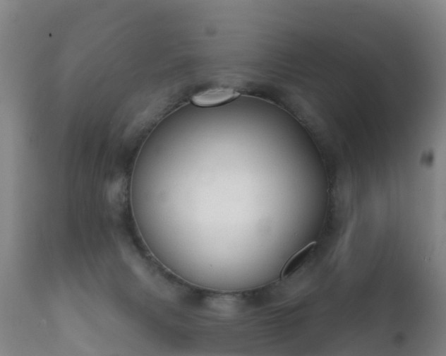 X0000112360079200908201513