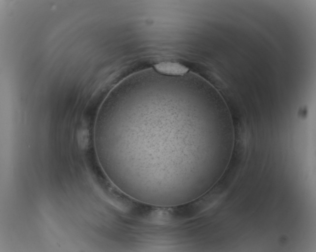 X0000112360080200908201513