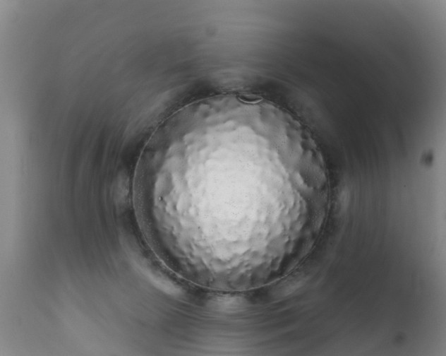 X0000112360081200908201513