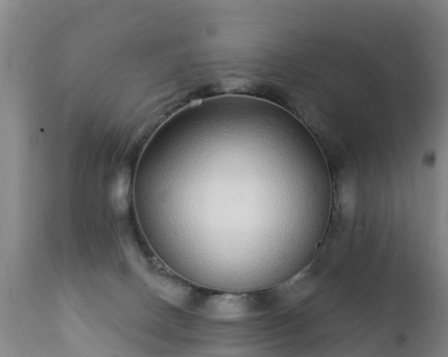 X0000112360082200908201513