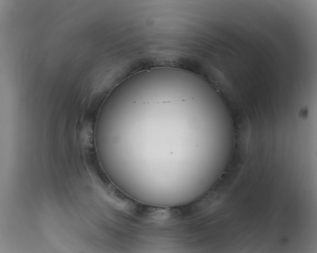 X0000112360083200908201513