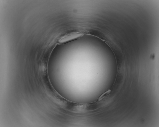 X0000112360084200908201513