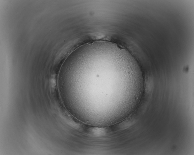 X0000112360085200908201513