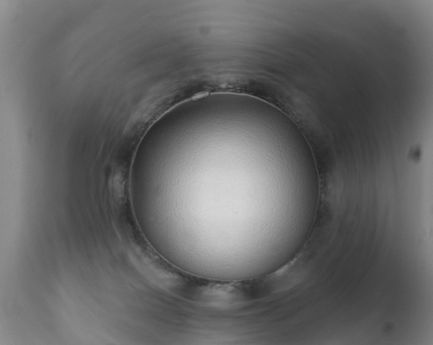 X0000112360086200908201513