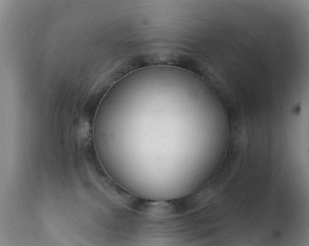 X0000112360087200908201513