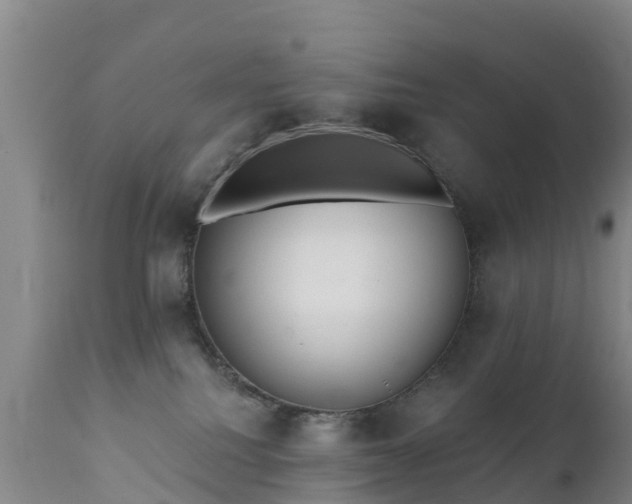 X0000112360088200908201513