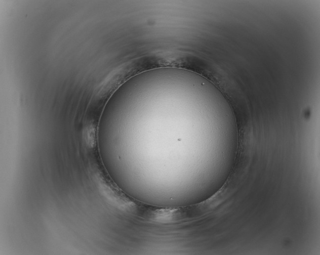 X0000112360090200908201513