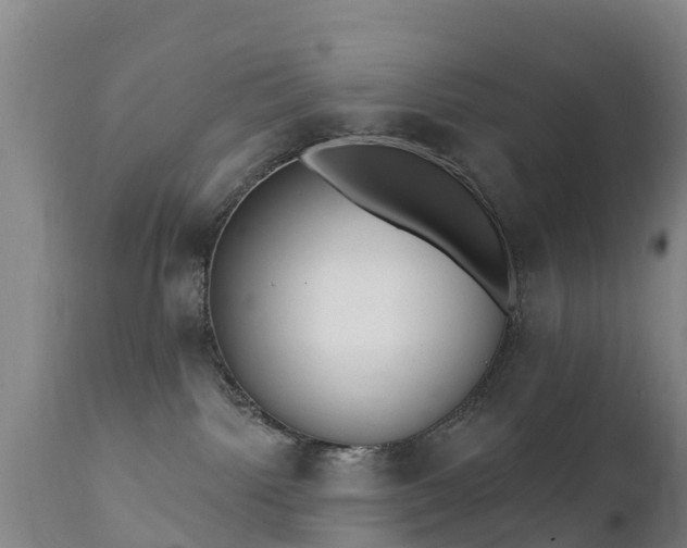 X0000112360092200908201513