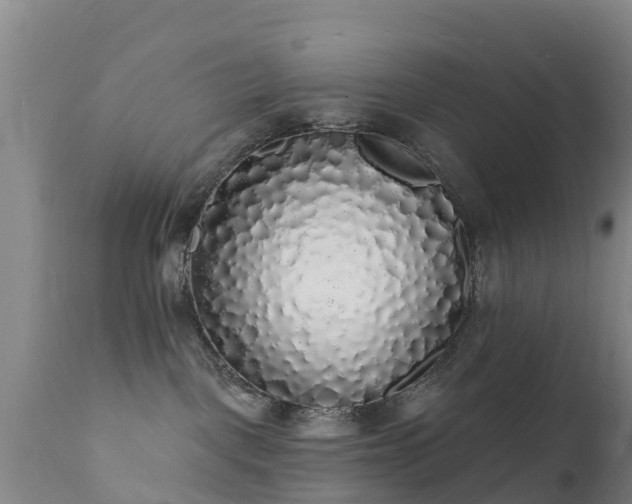 X0000112360093200908201513