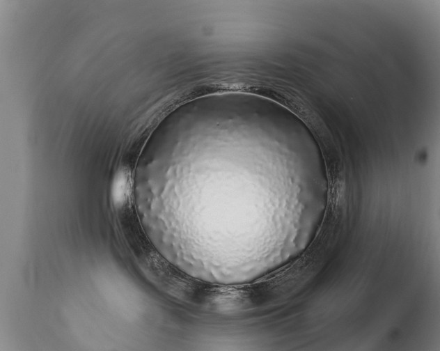 X0000112360095200908201513